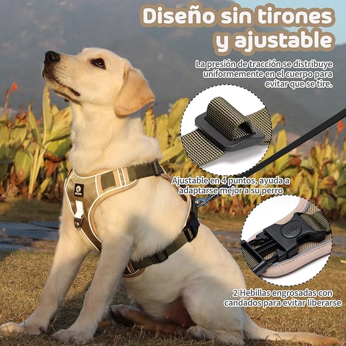 MESVIER Arnés para Perro Chico Mediano Grande con Correa 1.5m, Pechera para Perro Ajustable Reflectante Transpirable, Arneses para Perros Sin Tirones para Caminar Viajar Entrenar Perros Accesorios