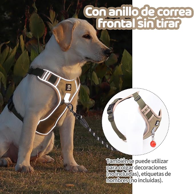 MESVIER Arnés para Perro Chico Mediano Grande con Correa 1.5m, Pechera para Perro Ajustable Reflectante Transpirable, Arneses para Perros Sin Tirones para Caminar Viajar Entrenar Perros Accesorios