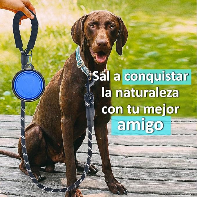 Wolfi Set de 2 Correas para Perro de 1.5 M con Mango Acolchado y Costuras Reflejantes para Perros, Incluye dispensador de Bolsas para excremento de Perro y Plato Plegable (Negro y Negro)